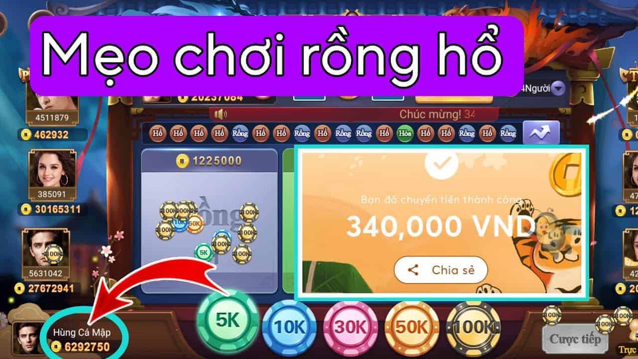 Nhung nha cai tai sao lai co gang phat trien Rong Ho den vay?